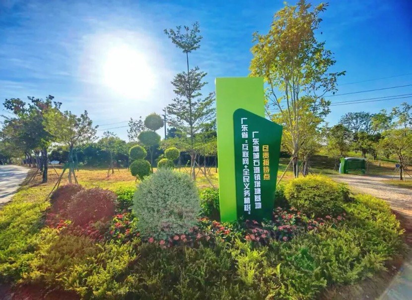 植树超6万株!广州增城全力推进乡村绿化美化5