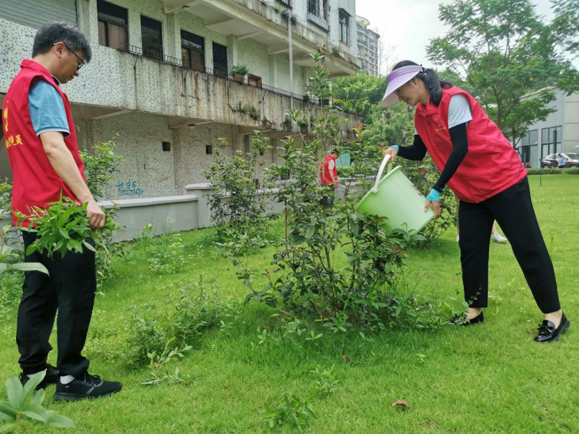 植树超6万株!广州增城全力推进乡村绿化美化6