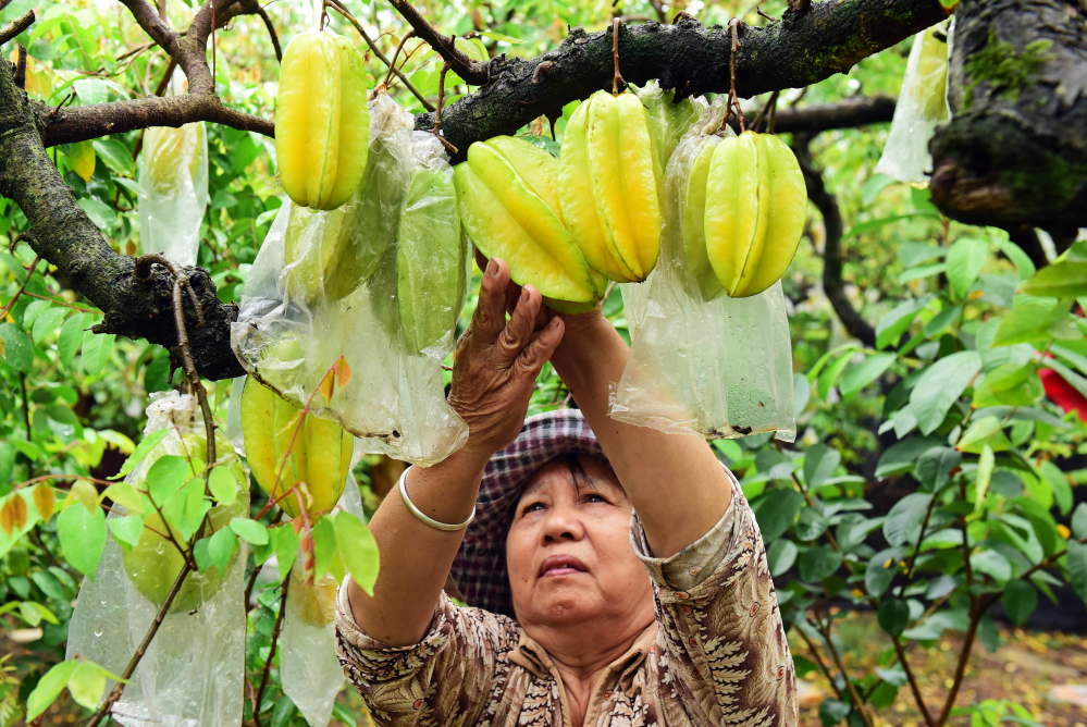 ScreenShot_2026-03-31_185609_138