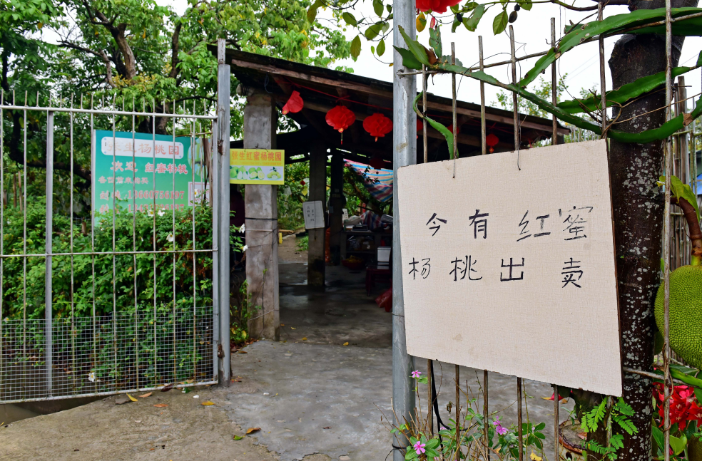 ScreenShot_2026-03-31_185549_255