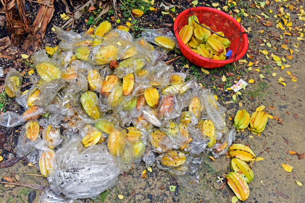 ScreenShot_2026-03-31_185641_481