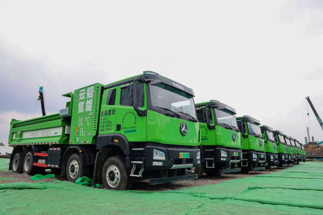 48b30f7f6cb5fbe96839edf242054997