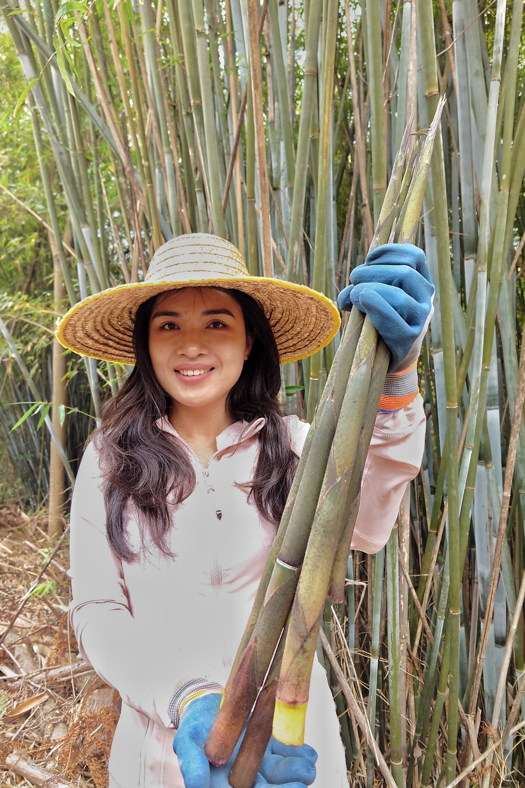 来雨后的从化吕田行山,赴一场挖笋、尝鲜、赏春的约会。