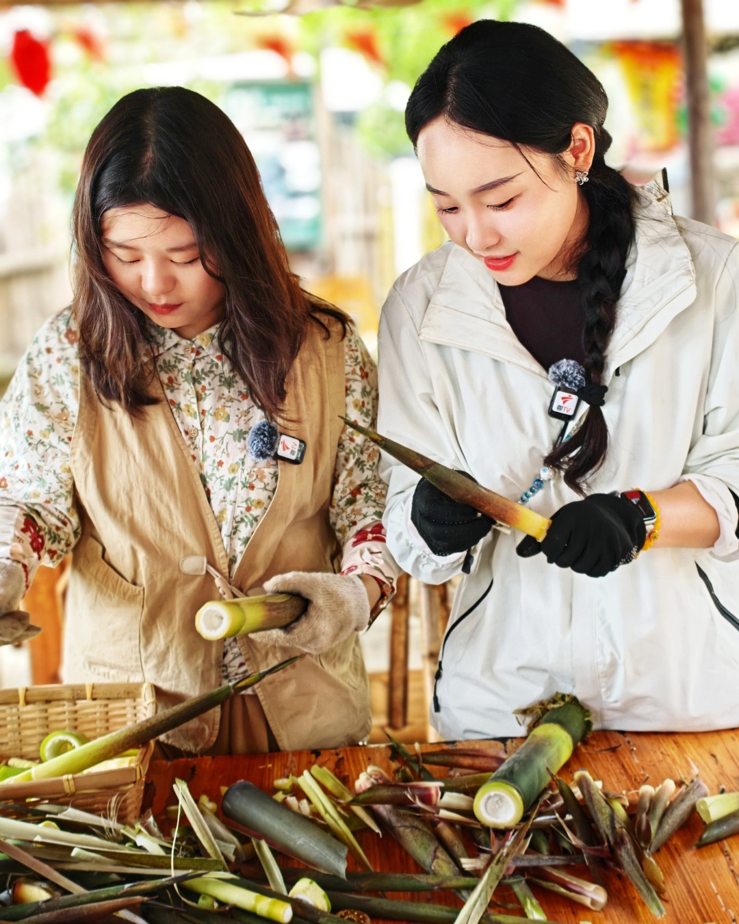 作为当地特色农产品,吕田苦笋肉质脆嫩、清香回甘且富含膳食纤维,凭借独特风味深受消费者青睐。