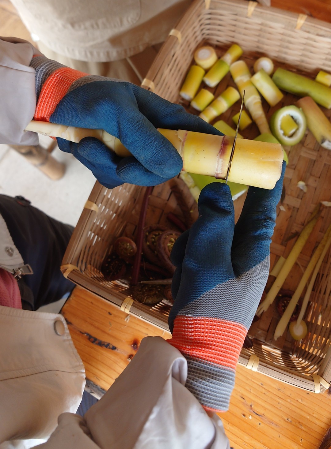 从竹林到餐桌,新鲜现拗的苦笋总能解锁最地道的春日滋味。