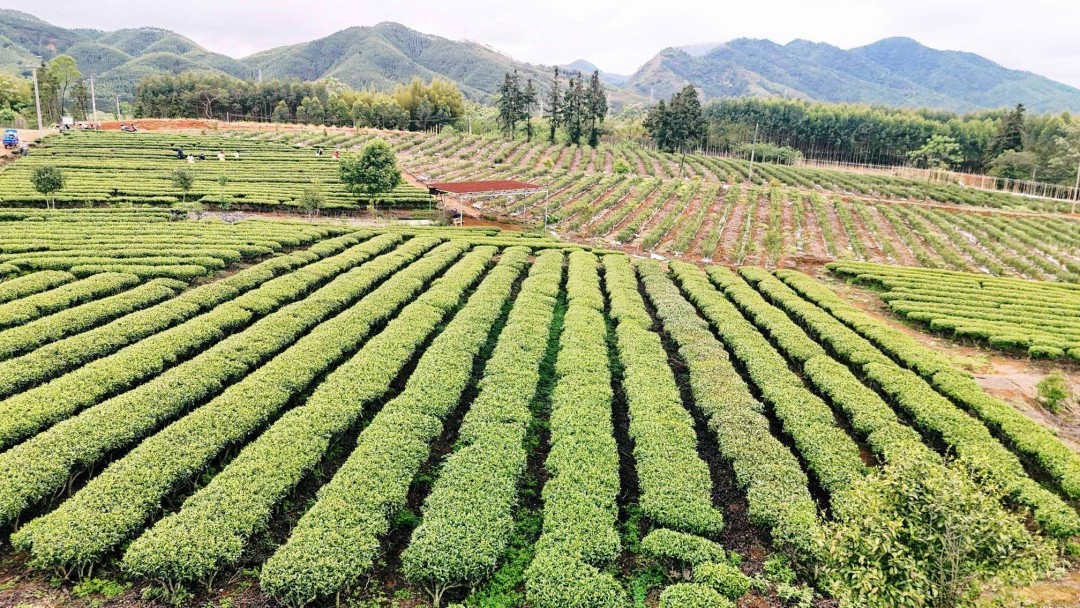 1f8f1dcb599b2da69ad8c295560b671