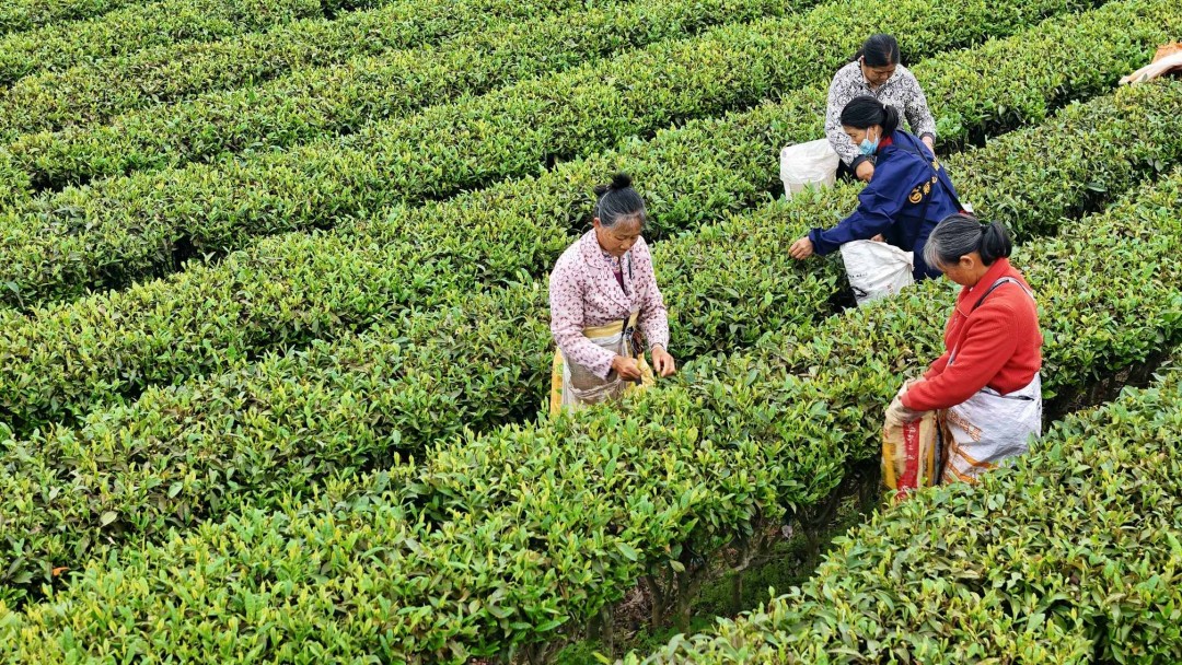 49a8aaf2ffdf3600a4c9009d473ddfd