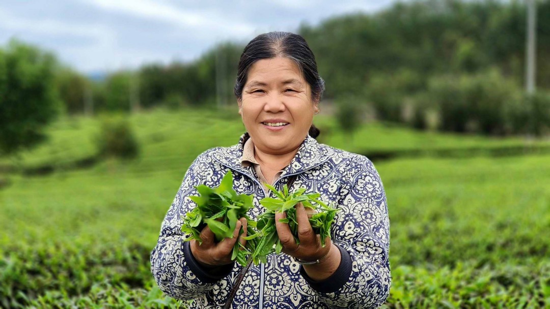 ed762fa217c663e6d8305ea8154528e