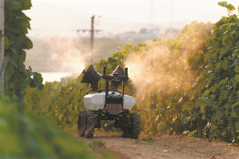 15138686_oujy_1775137920879_s