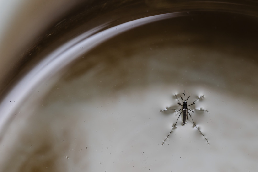 4061b044fe854faca3689d8df4104924