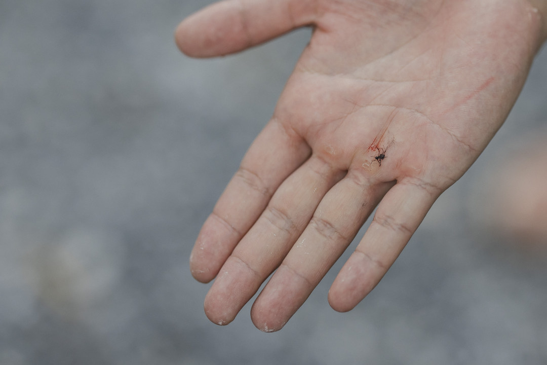 5abc9a2ea3b34038aece8110d6686bbe