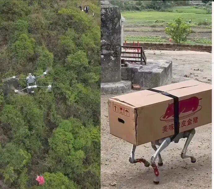 1775305523267039030.jpg 1775305523267039030.jpg