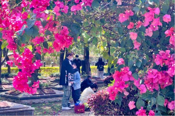 广州最新通知：明天8时起，开放预约！