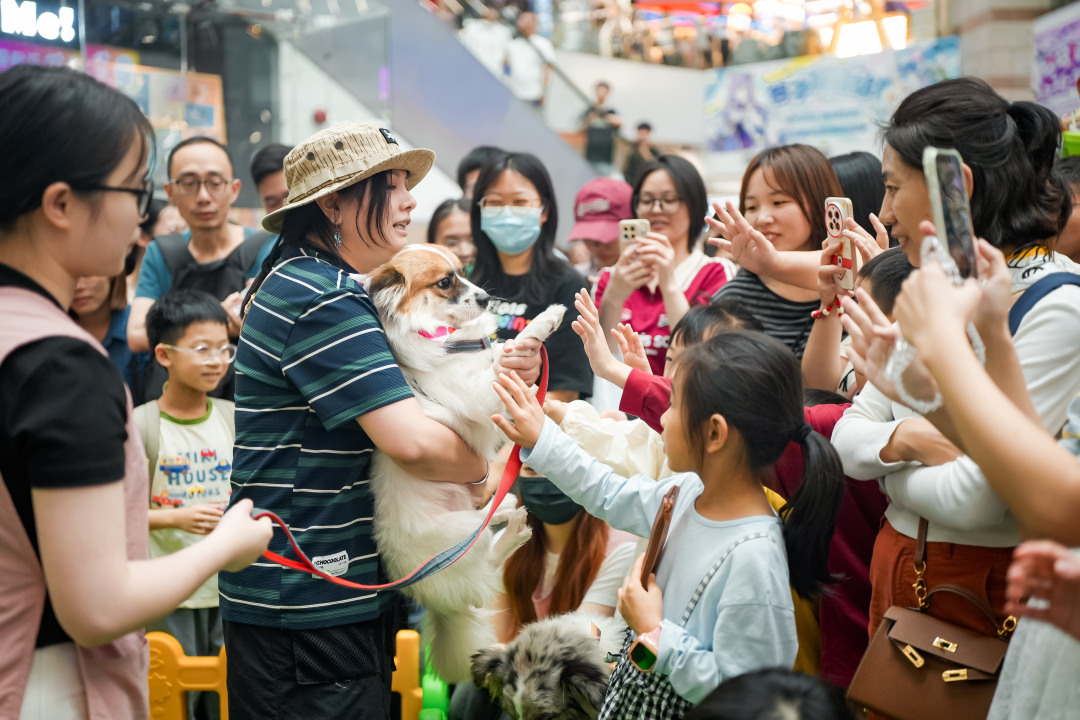 微信图片_20260404191121_210_3777