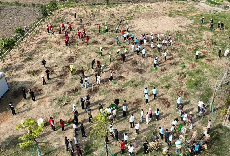 东莞开展2026年全民义务植树活动