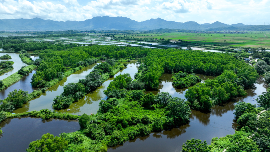 惠州市好招楼湿地公园