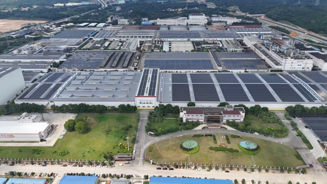 145bcdfa6009a224887966e71ed62a3a