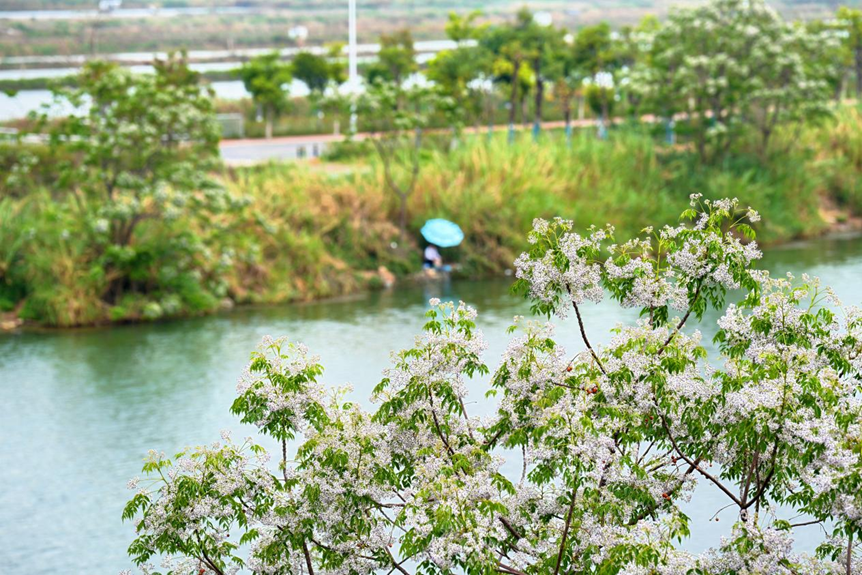 c06a92bf-d313-4e06-82c0-86725f5be05b.png