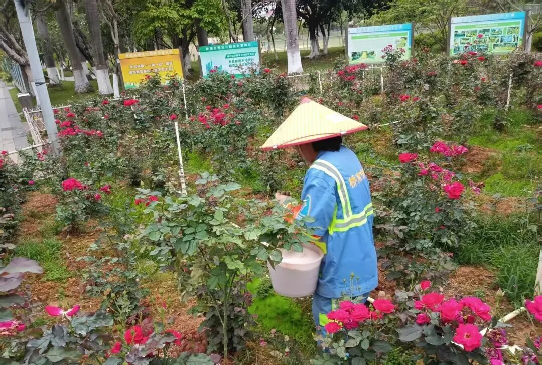 微信图片_2026-04-15_171122_205