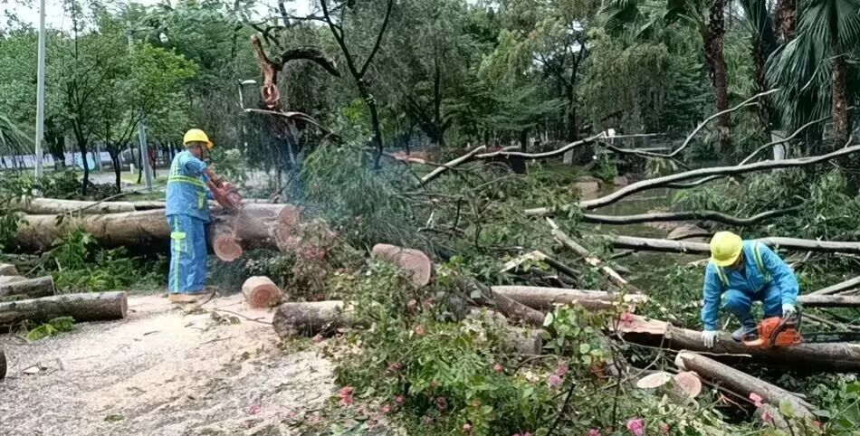 微信图片_2026-04-15_171210_944