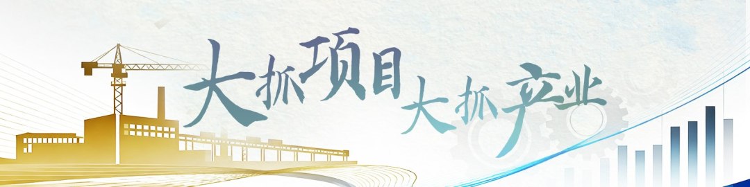 大抓项目大抓产业
