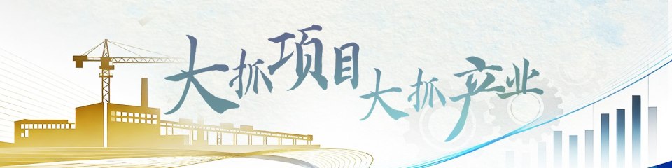 大抓项目大抓产业