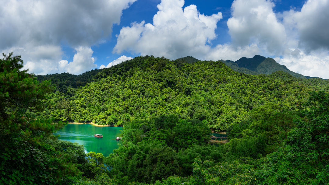 广东鼎湖山国家级自然保护区蝴蝶谷