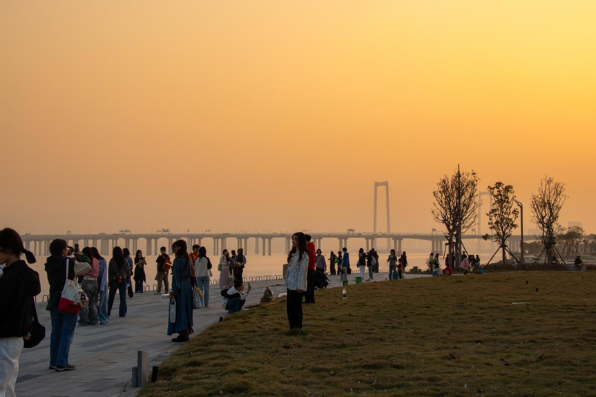 247bba9a-0aba-4231-8d07-425e326e4f85.png
