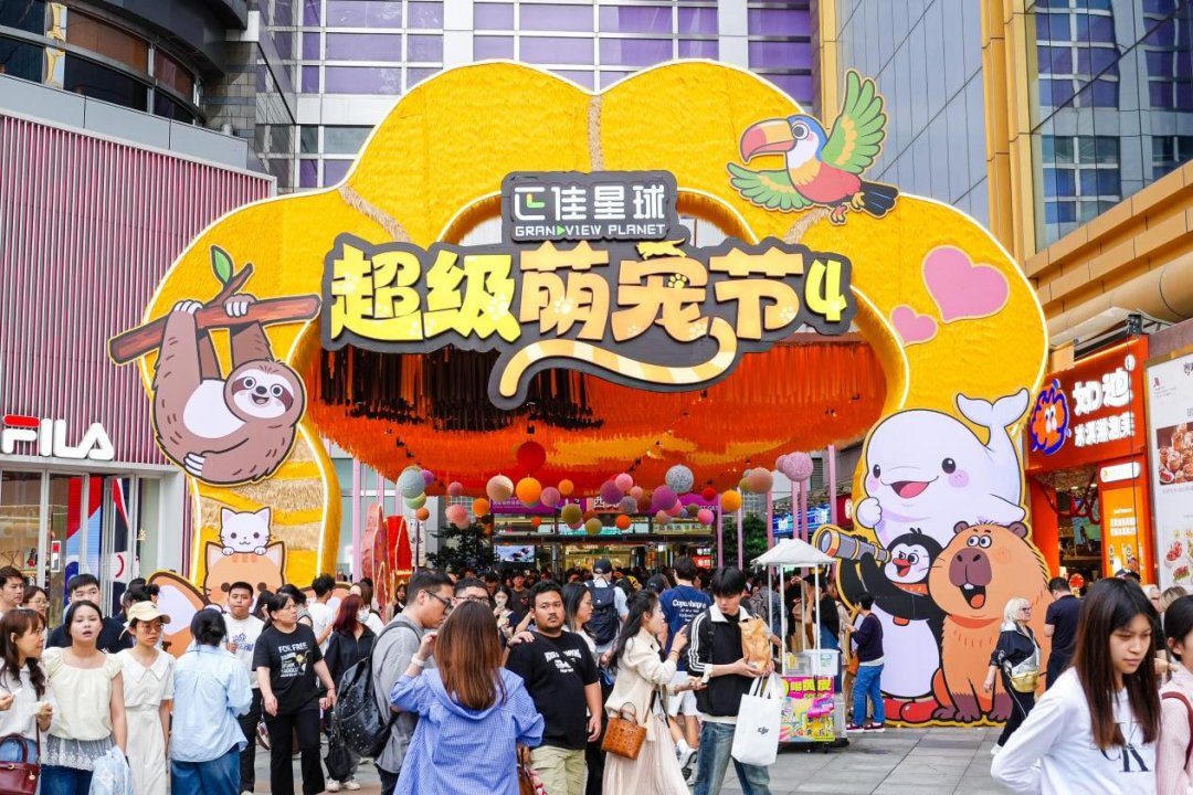 图片1