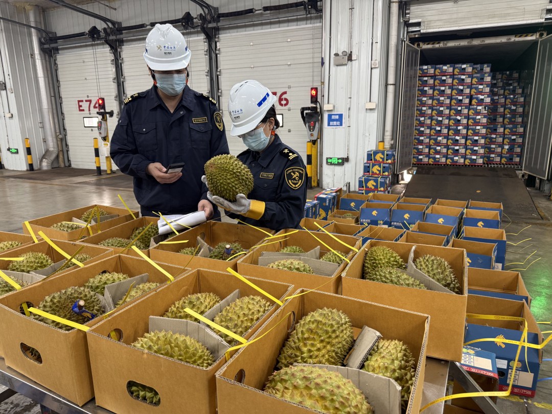 2.广州海关所属南沙海关对进口榴莲进行监管