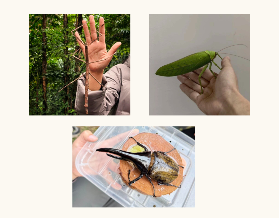 儿童节主题手绘风公众号首图__2026-05-18+21_09_41.png