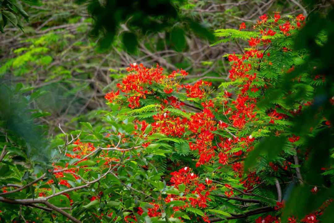 Weixin Image_20260515125725_592_422