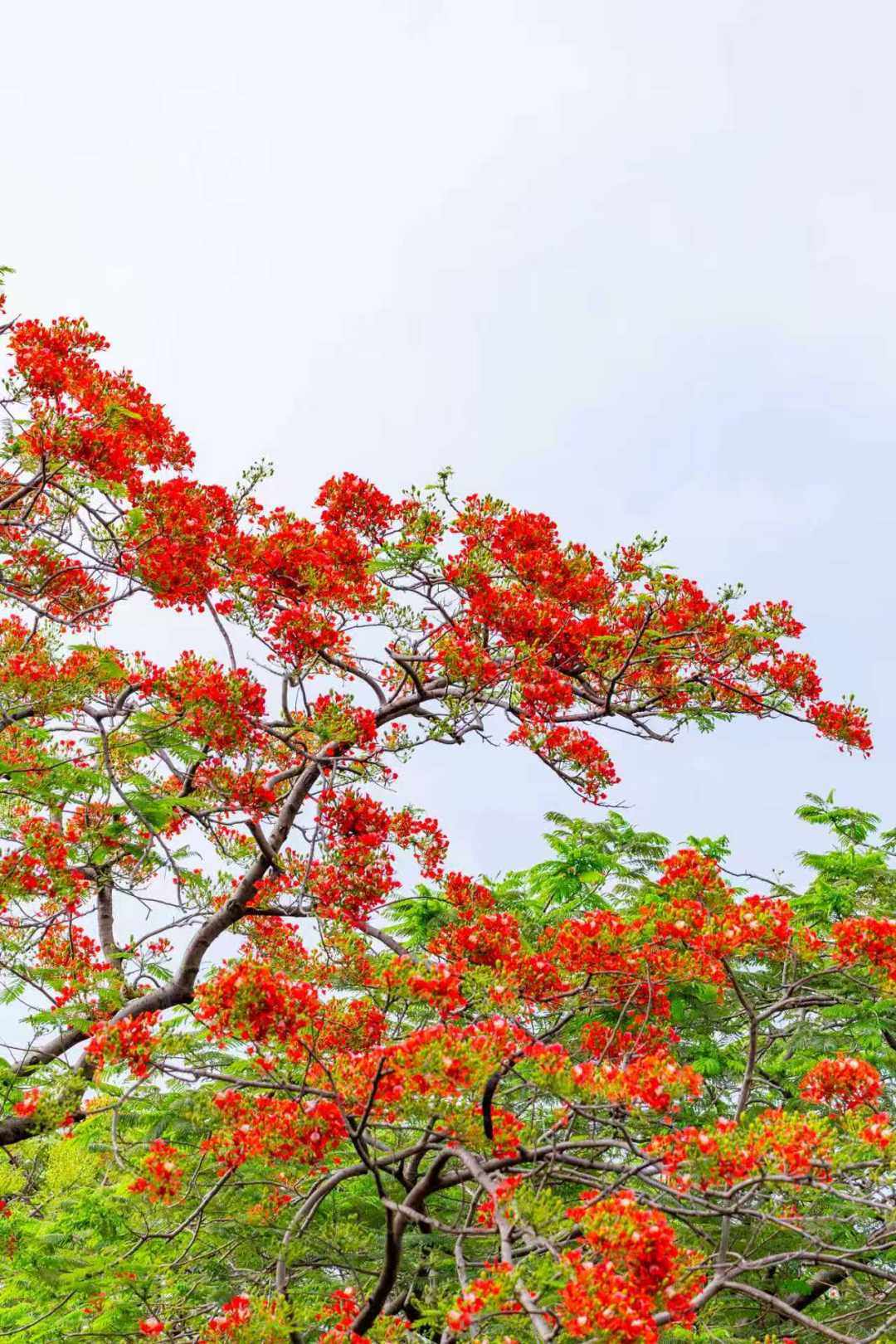 Weixin Image_20260515125737_593_422