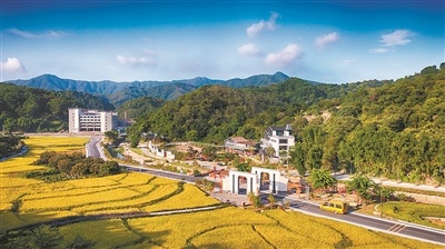 美丽广州