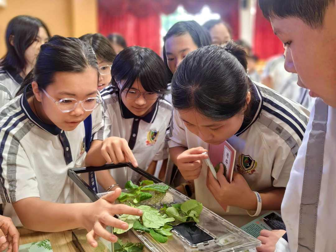 东莞学校互动 2