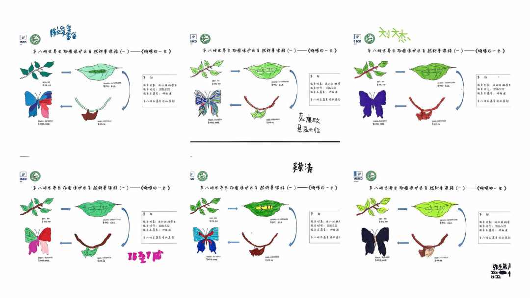 特殊教育学校小朋友的画