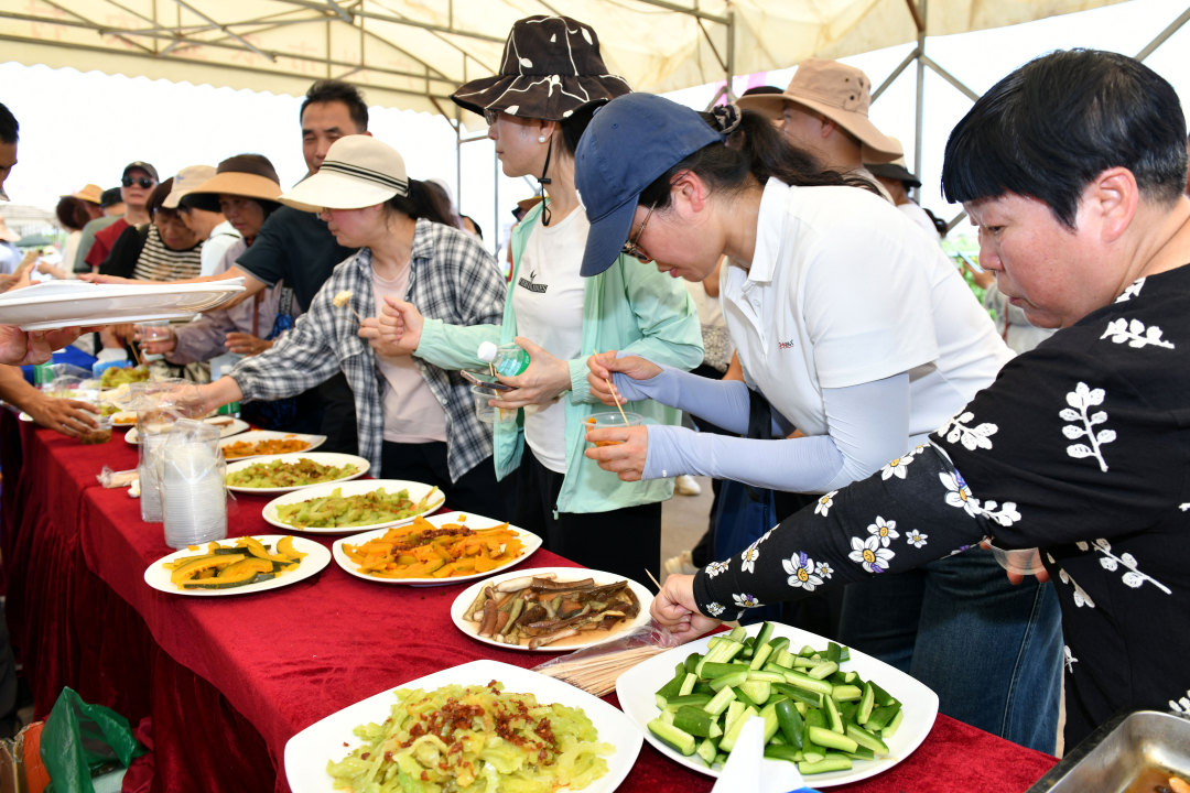 5月28日,第二十九届广州蔬菜新品种展示推广活动在广州市农业农村科学院南沙基地拉开帷幕,62家单位的1014个蔬菜新品种集中亮相。图为新品种蔬菜吸引了众多业界代表试吃。