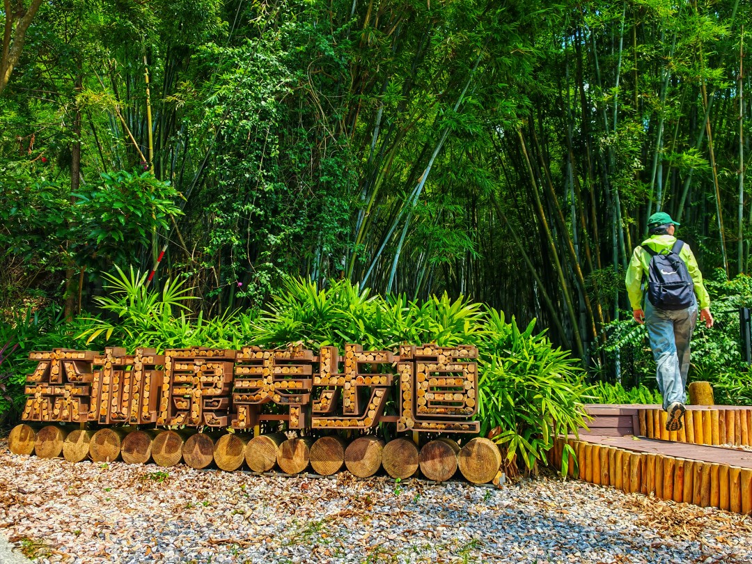 广州帽峰山森林康养步道,告别城市喧嚣,和孩子漫步帽峰山,一路被茂密林海环绕,清风拂面,闻草木清香。