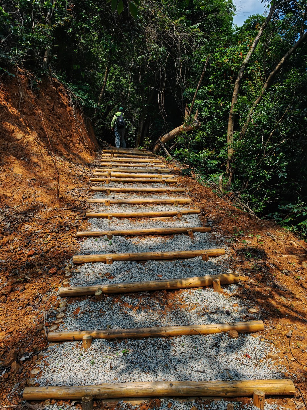 广州帽峰山森林康养步道,告别城市喧嚣,和孩子漫步帽峰山,一路被茂密林海环绕,清风拂面,闻草木清香。