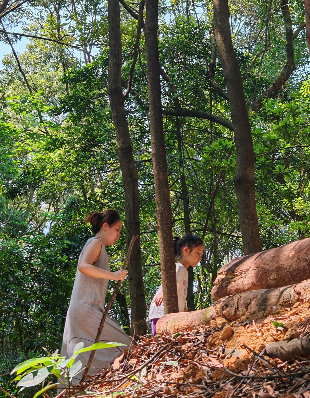 广州帽峰山森林康养步道,告别城市喧嚣,和孩子漫步帽峰山,一路被茂密林海环绕,清风拂面,闻草木清香。