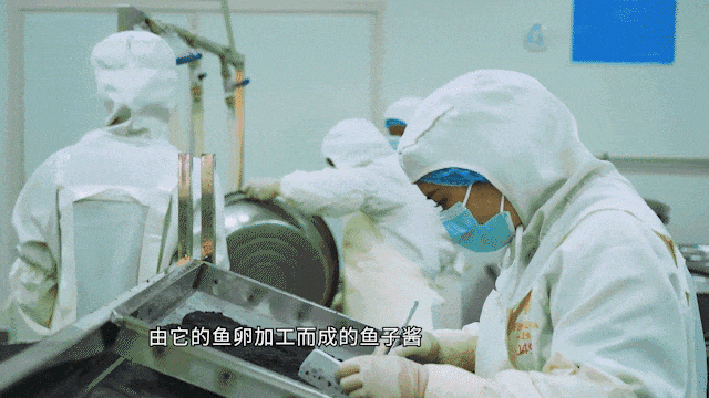 ac96a15d5ebb3086b1fe981349d0275f.jpg