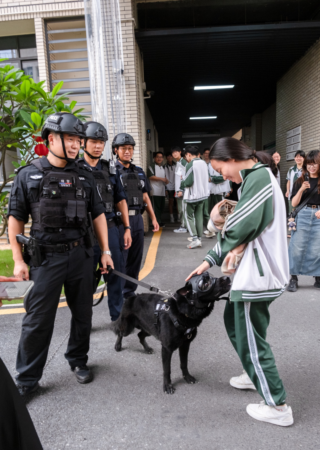 广州市培英中学云城校区考场,维持考场秩序的特警们带着警犬,跟考生们击掌加油,祝大家高考“旺旺”。考生们开心地跟帅气警犬互动。