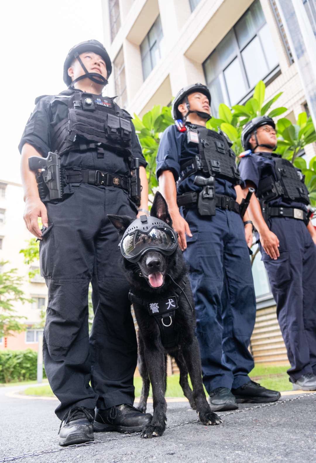 广州市培英中学云城校区考场,维持考场秩序的特警们带着警犬,跟考生们击掌加油,祝大家高考“旺旺”。考生们开心地跟帅气警犬互动。