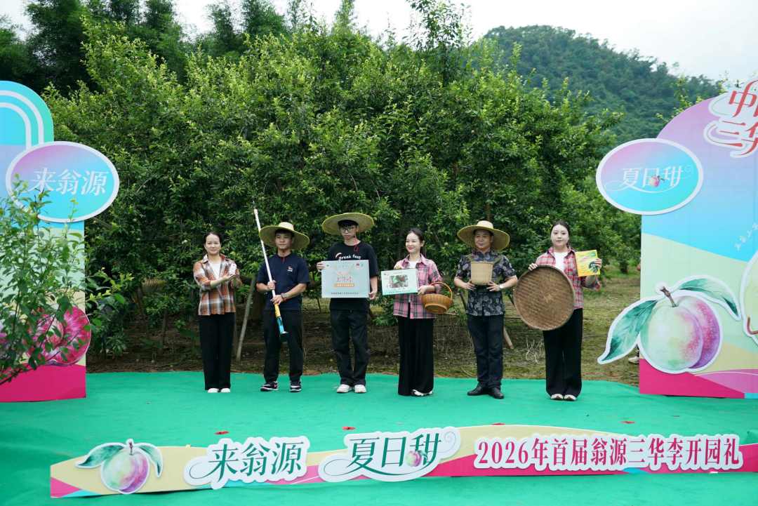 别具一格的“果T秀”