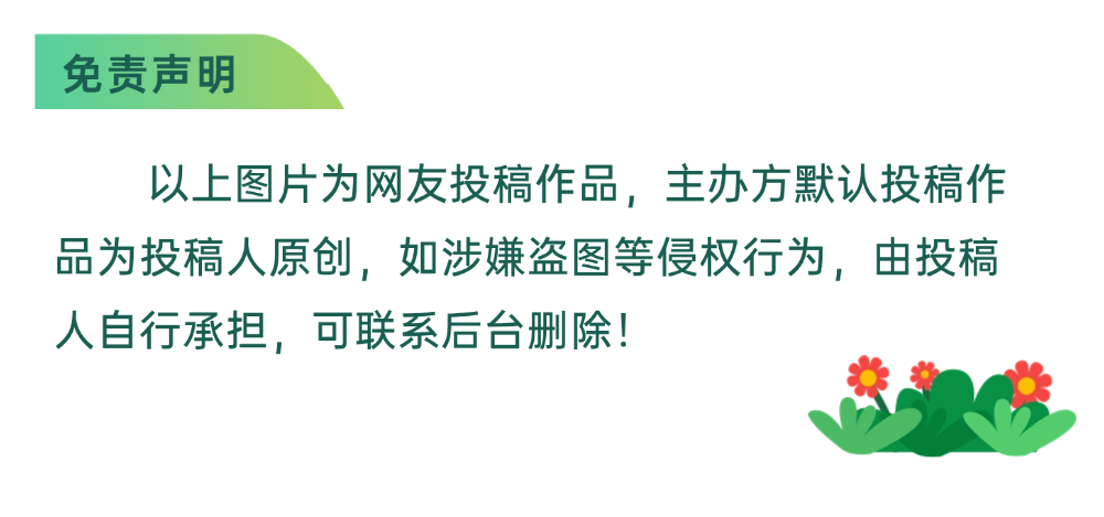 图片8