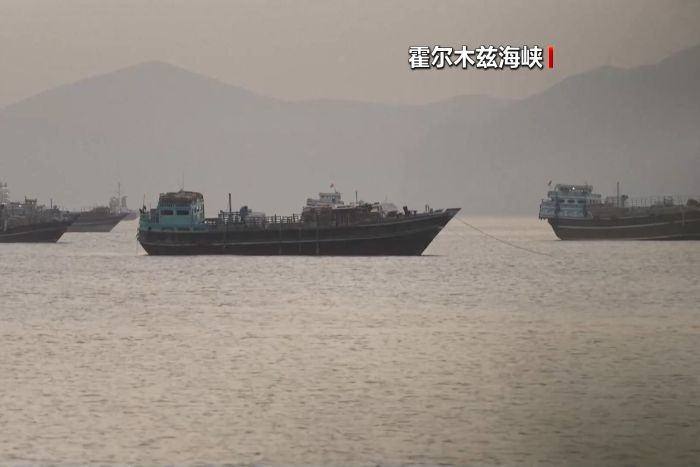 央视网