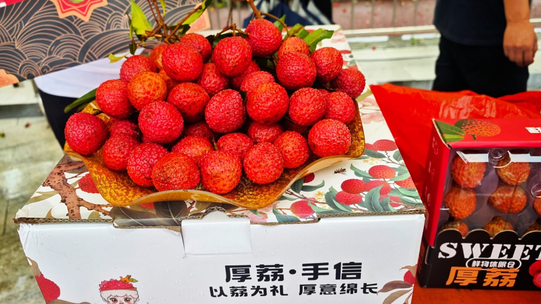 微信图片_20260618200525_190_543