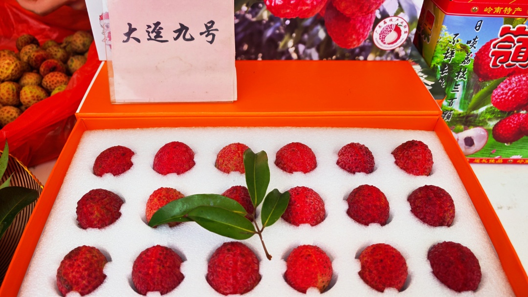 微信图片_20260618200525_189_543