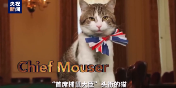 223a2937-68f3-477c-91b2-ff481fa1cd46.png