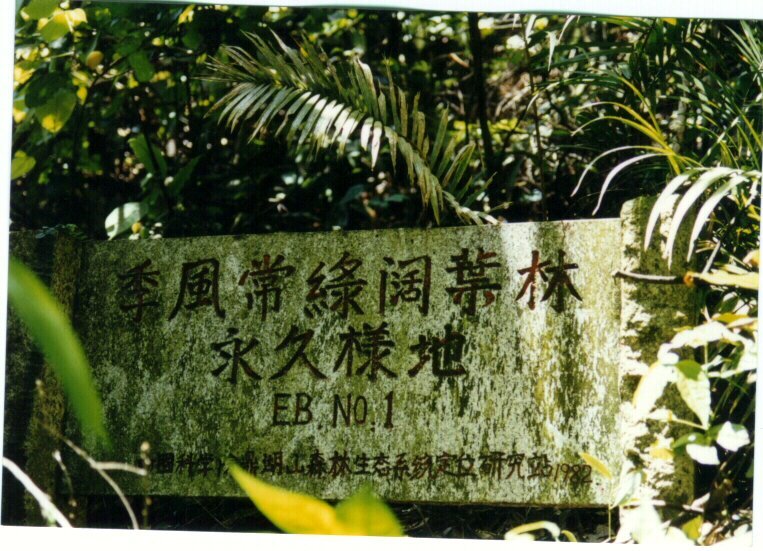 1992年，科研人员将1982年建立的季风常绿阔叶林永久样地从2000m2扩大为10000m2，成为国内首个国际标准的永久监测样地